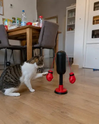 Mini Cat Punching Bag