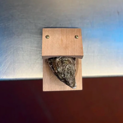 Wooden Oyster Shucking Clamp with Table Edge Mount and Screw Tightening