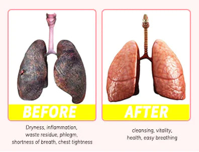 Dendrobium & Mullein Extract – Powerful Lung Support & Cleanse & Respiratory