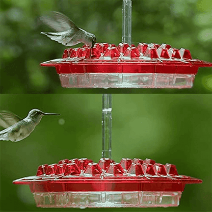 Hummingbird Feeders for Outdoors Hanging