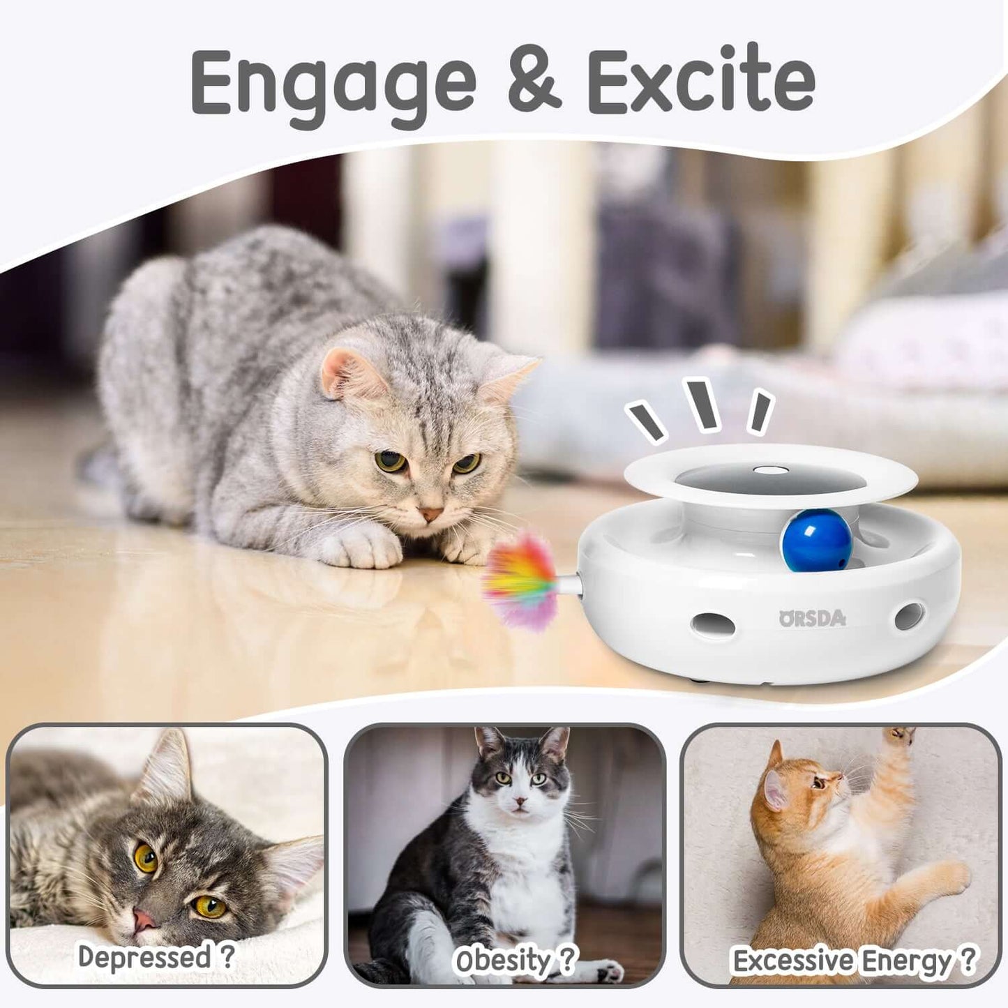 2-in-1 Interactive Cat Toys