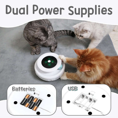 2-in-1 Interactive Cat Toys