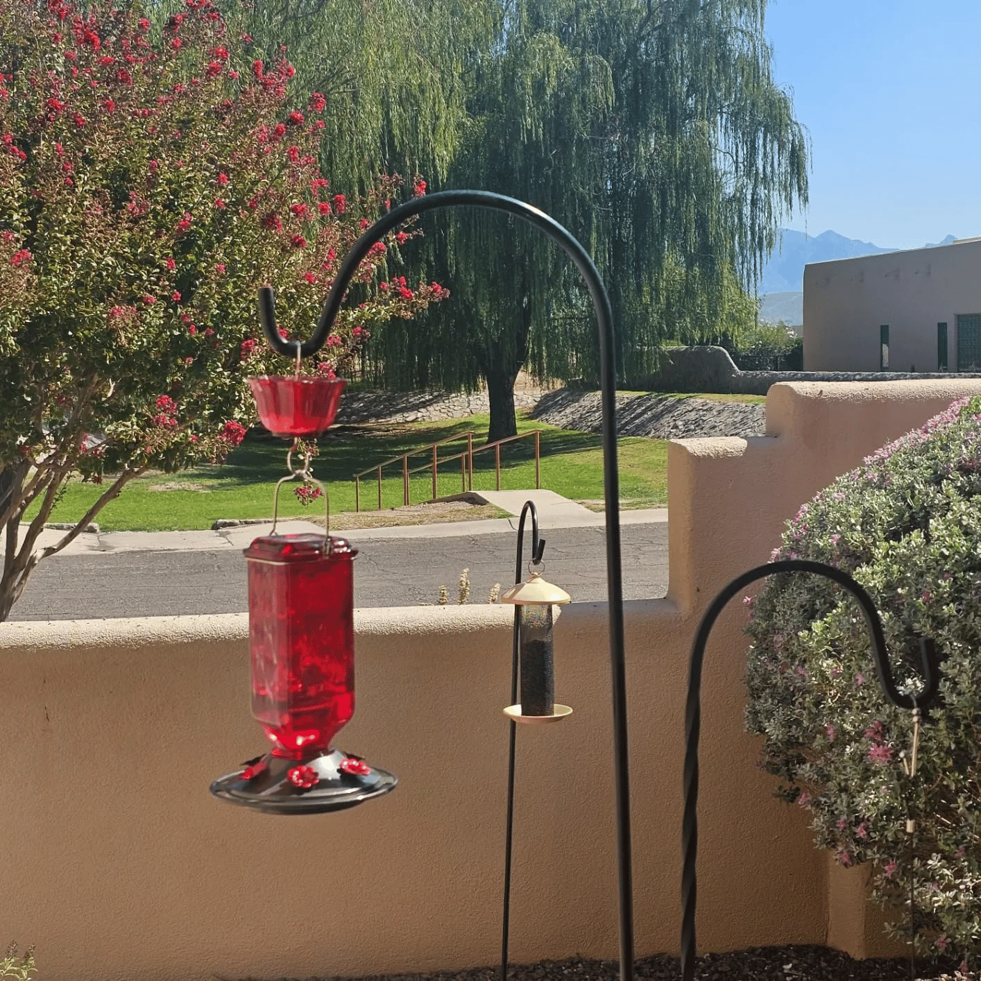 Last Day Sale 49% Off Hummingbird Feeder - Leak-proof seal