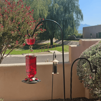 Last Day Sale 49% Off Hummingbird Feeder - Leak-proof seal