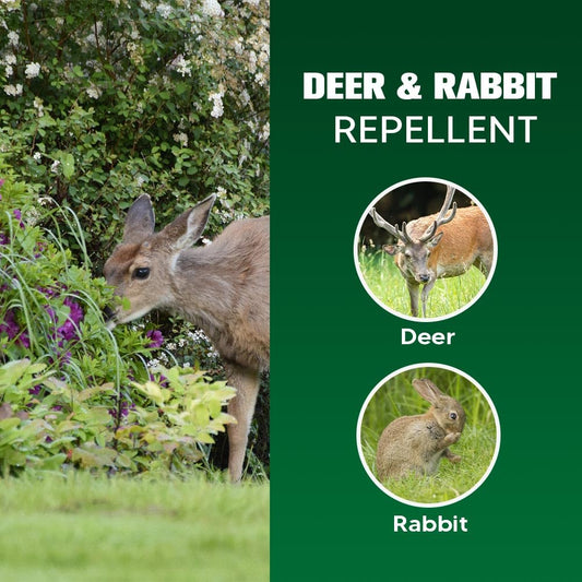 pzwmmsse Deer Repellent Outdoor, Rabbits Repellent for Garden, Bunny Repellent, Deer Deterrent for Plants, Keeps Deer & Rabbit Away from Yard, Lasting for 2 Months, Safe for Humans & Pets-8 Pack