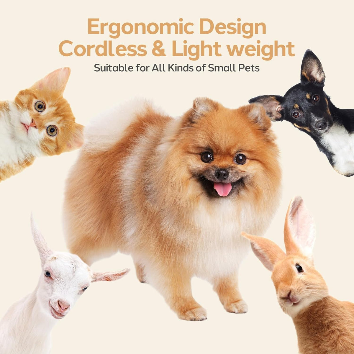 Cordless Dog Clipper with Titanium Ceramic Blades and Four Interchangeable Heads