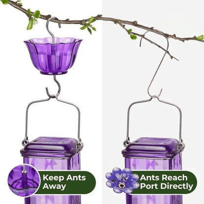 Last Day Sale 49% Off Hummingbird Feeder - Leak-proof seal