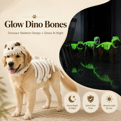 Glow Dinosaur Skeleton Pet Costume 2026