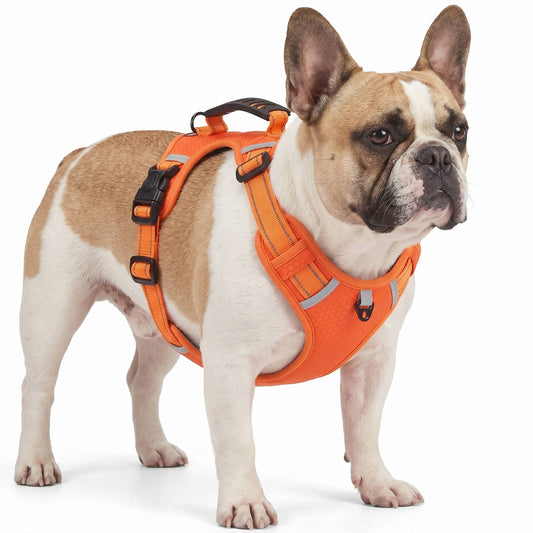 Adjustable Reflective No Pull Dog Harness