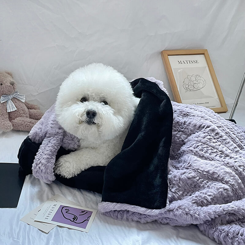 Plush Pet Bed with Raised Border and Matching Pillow, Machine Washable