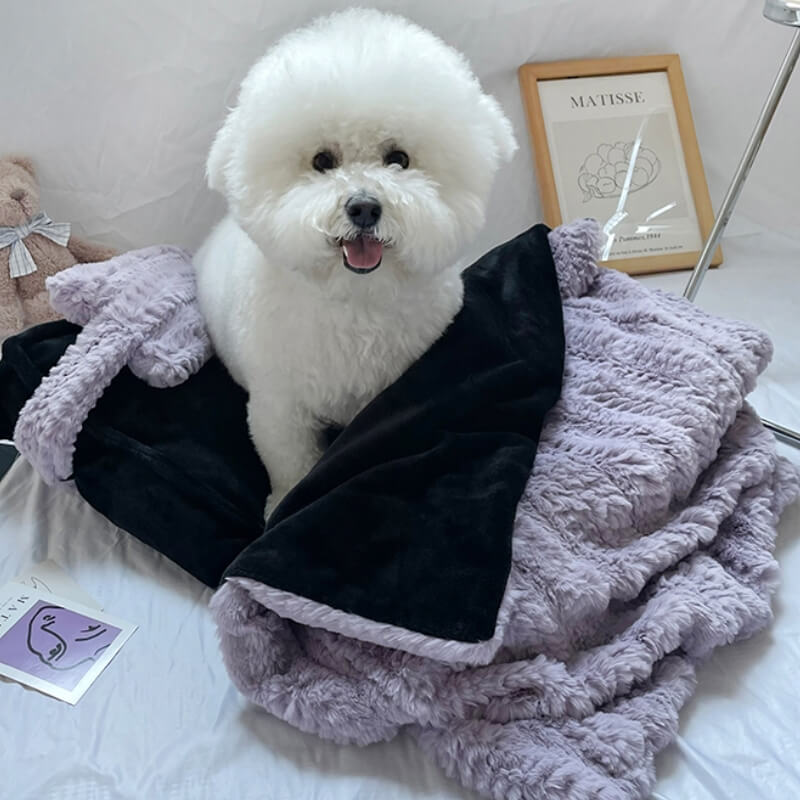 Plush Pet Bed with Raised Border and Matching Pillow, Machine Washable