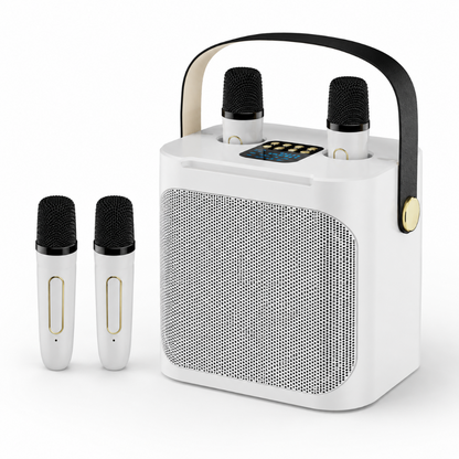 Portable Karaoke Speaker Wireless Microphones LED Display