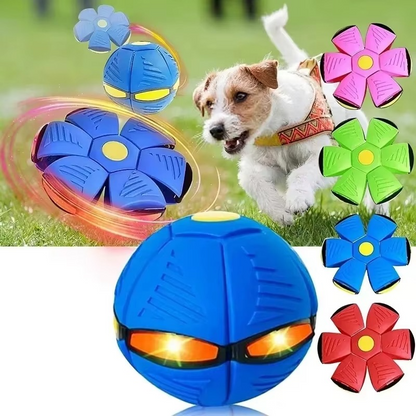 Dual Shape Flying Ball That Transforms from Disc to Sphere on Impact