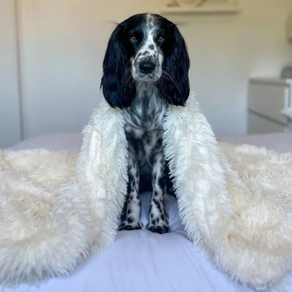 Anxiety Relieving Fluffy Soft Pet Blanket Cozy Design