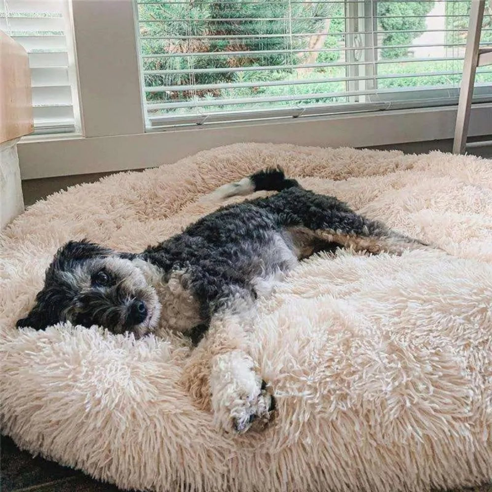 Anxiety Relieving Plush Dog Bed Calming Comfort