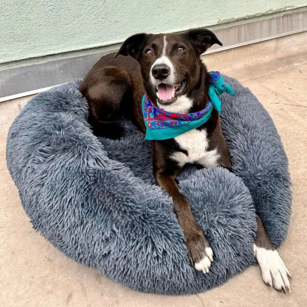 Anxiety Relieving Plush Dog Bed Calming Comfort