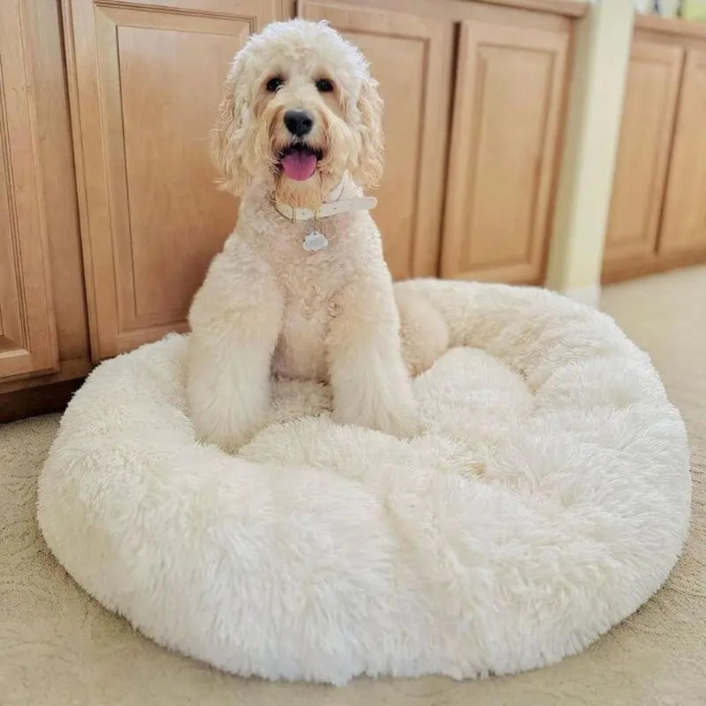 Anxiety Relieving Plush Dog Bed Calming Comfort