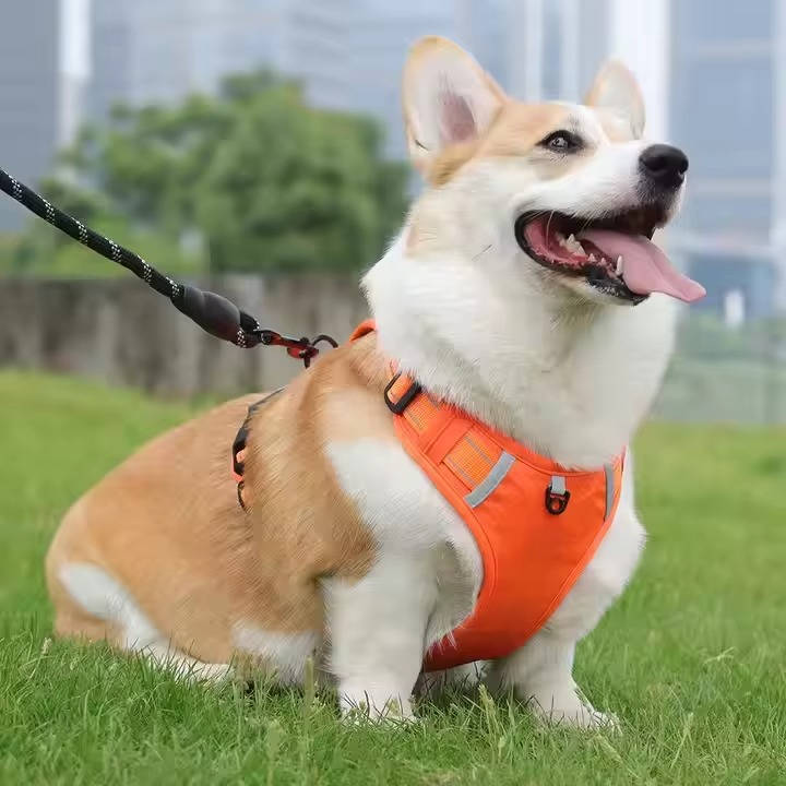Adjustable Reflective No Pull Dog Harness