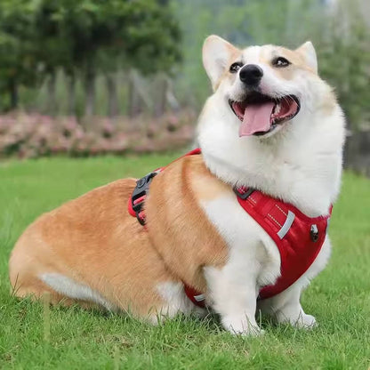 Adjustable Reflective No Pull Dog Harness