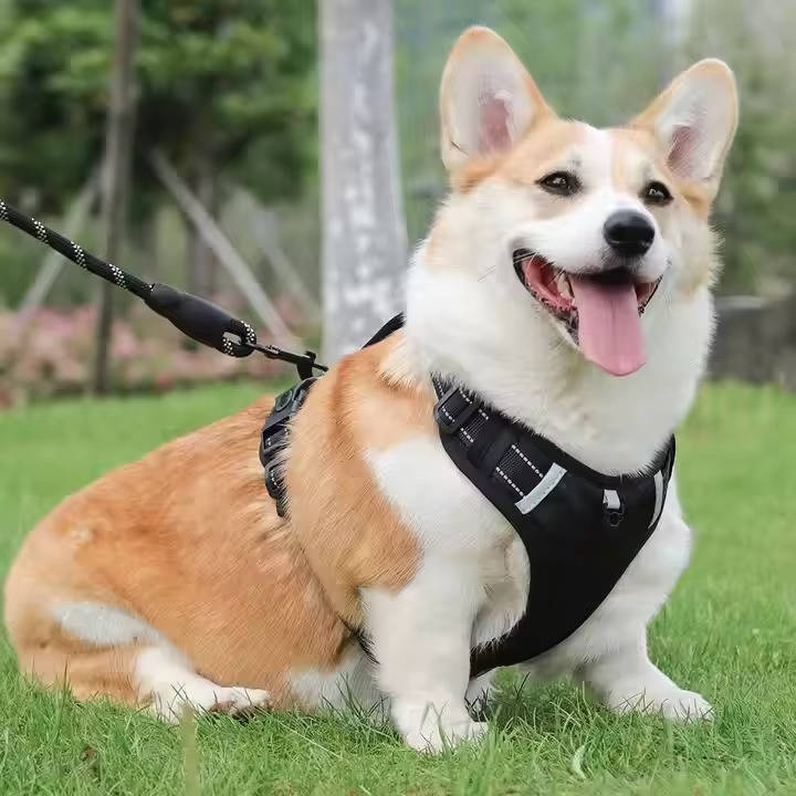 Adjustable Reflective No Pull Dog Harness