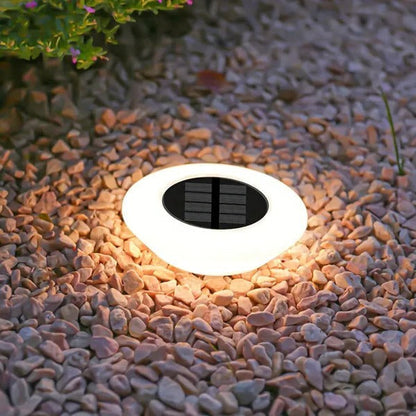 Solar Pathway Lights Set of 4 with Automatic Dusk-to-Dawn Sensor and Dual Color Options