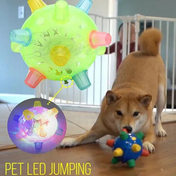 Interactive Jumping Activation Ball for Dogs – Automatic Movement Toy