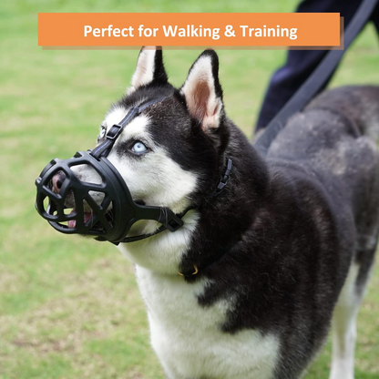 Basket Dog Muzzle for Reactive Dogs with Adjustable Straps and Sizing Chart, Medium
