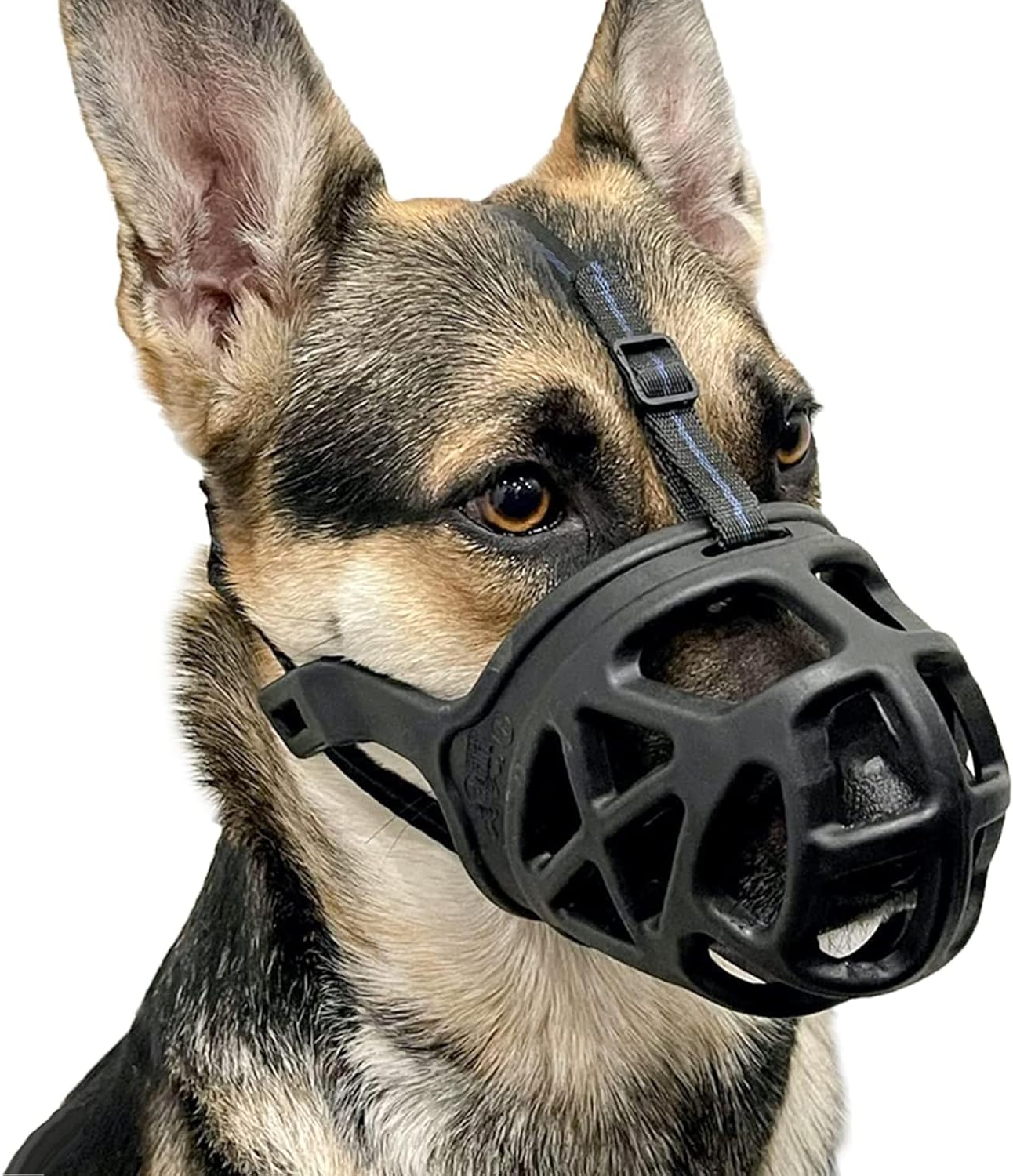 Basket Dog Muzzle for Reactive Dogs with Adjustable Straps and Sizing Chart, Medium