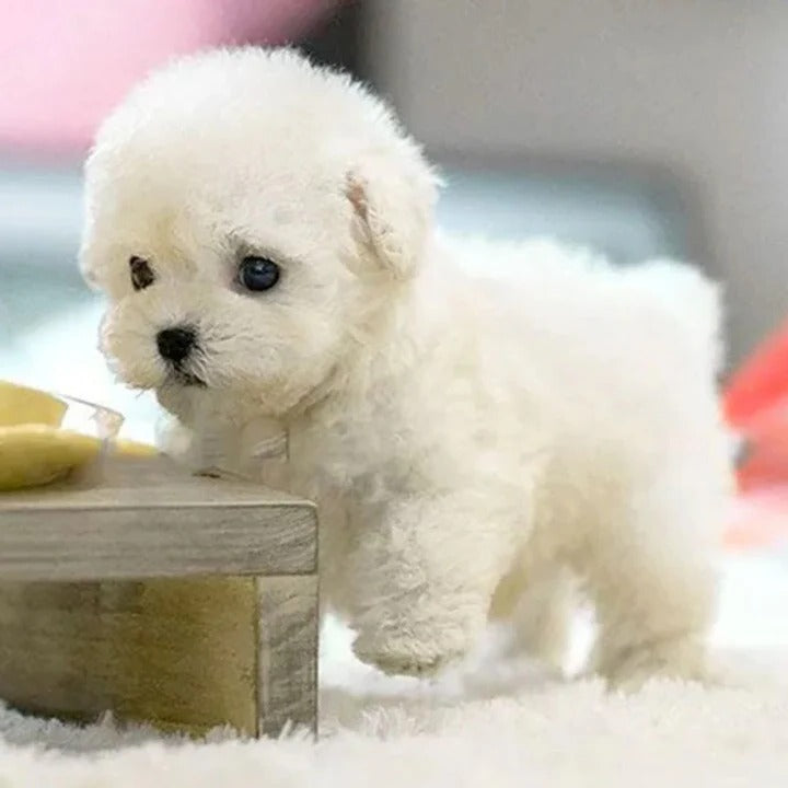 Interactive Robotic Puppy Toy Smart Walking and Barking Dog