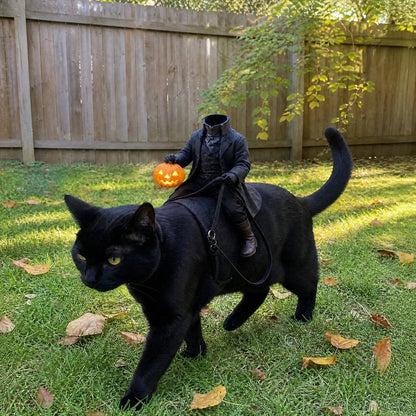 Headless Horseman Pet Costume, Halloween Costume for Cats and Dogs, Parties and Dress Up