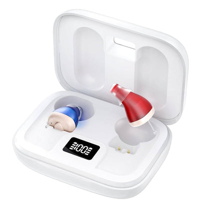 Mini Invisible Hearing Aid, 6 Channel Digital Chips with Intelligent Noise Cancellation