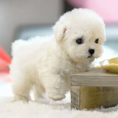 Interactive Dog Toy Robotic Puppy Lifelike Companion