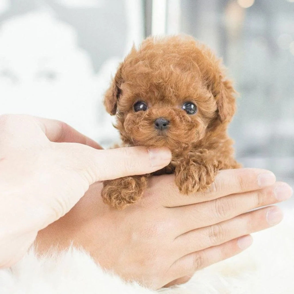 Interactive Dog Toy Robotic Puppy Lifelike Companion