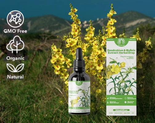 Dendrobium & Mullein Extract – Powerful Lung Support & Cleanse & Respiratory