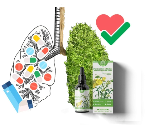 Dendrobium & Mullein Extract – Powerful Lung Support & Cleanse & Respiratory