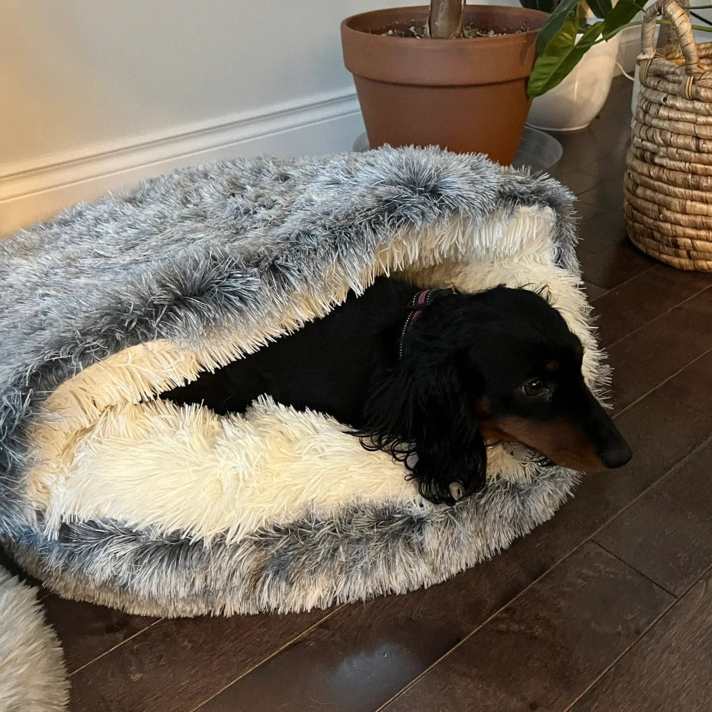 Pet Cave Bed Cozy Cat Cave Design Soft Comfort