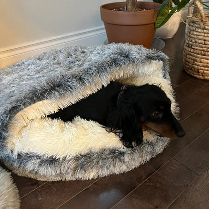 Pet Cave Bed Cozy Cat Cave Design Soft Comfort