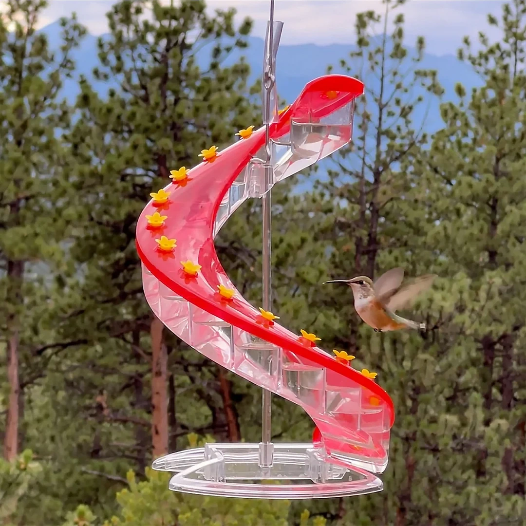 Shirem DNA Helix Hummingbird Feeder