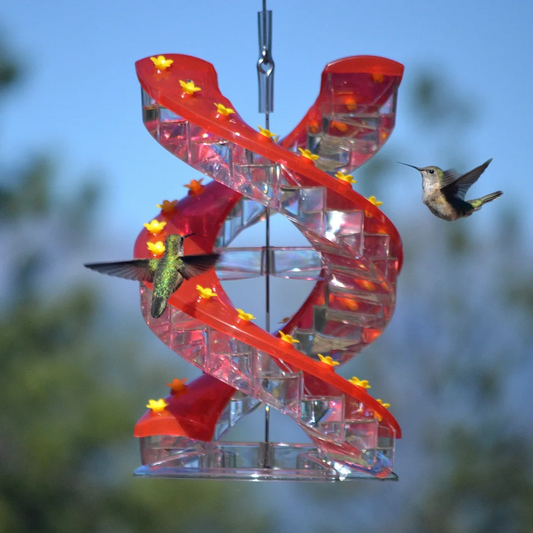 Shirem DNA Helix Hummingbird Feeder