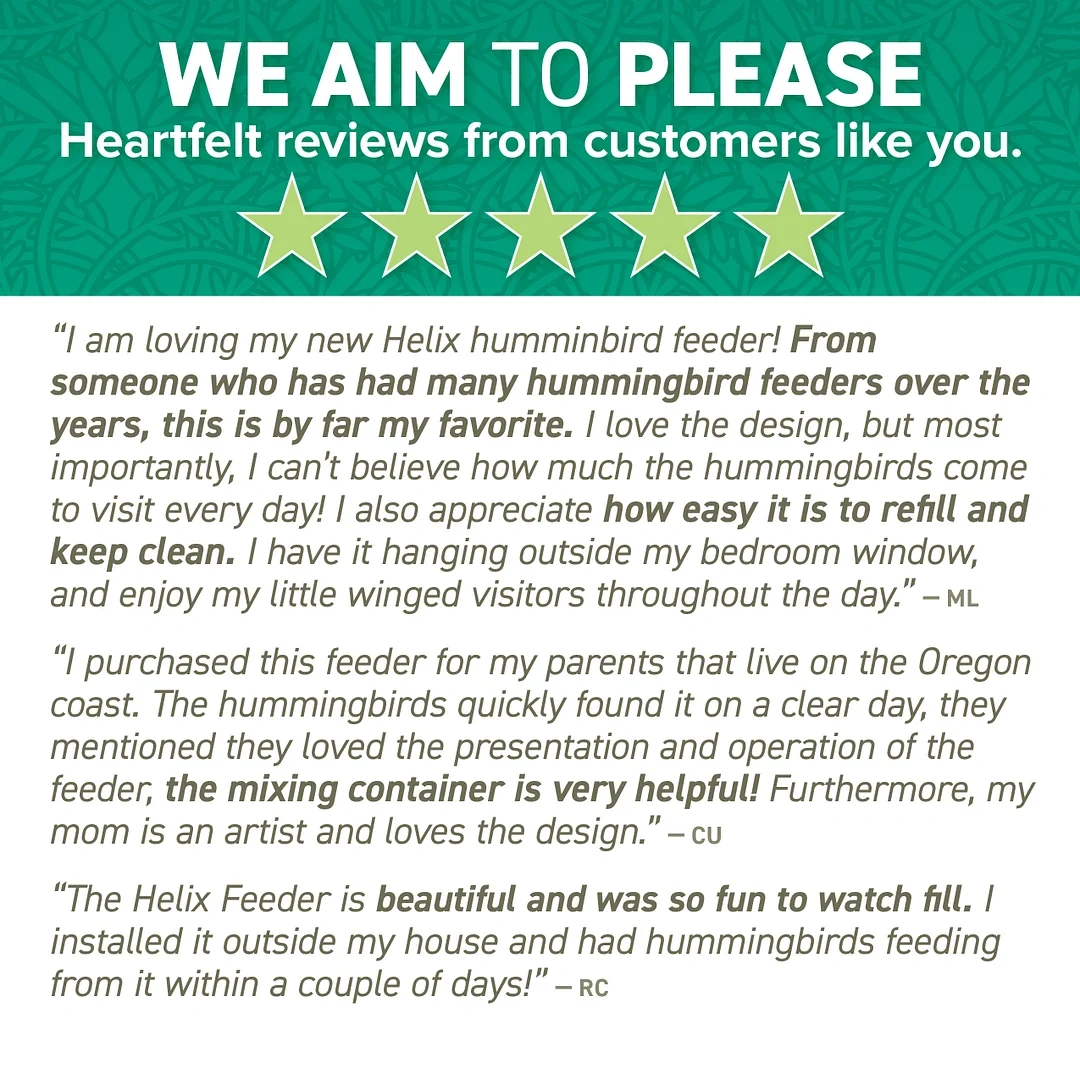 Shirem DNA Helix Hummingbird Feeder