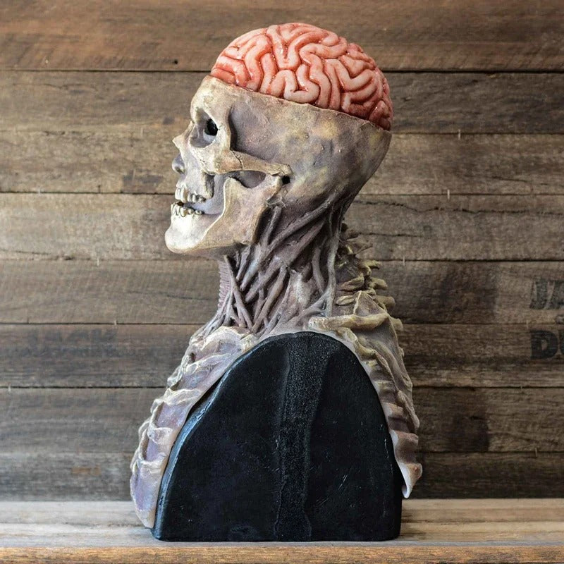 Anatomical Skeleton Costume with Realistic Skull Mask and Matching Hat